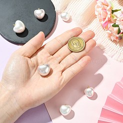 6 stücke 6 arten shell perle anhänger&nbsp;KK-CJ0003-73