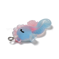 Pendentifs en résine opaque&nbsp;RESI-D055-093P