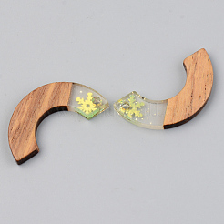 Pendentifs en résine transparente et bois de noyer&nbsp;RESI-S389-007A-D01