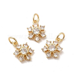 Porte micro ouvrent pendentifs zircone cubique en laiton de placage&nbsp;KK-E081-16G