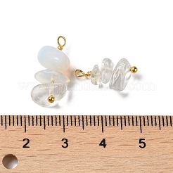 Pendentifs opalite&nbsp;KK-P242-31G-02