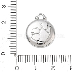12 pendentif constellations en acier inoxydable 304&nbsp;STAS-F354-01P-09