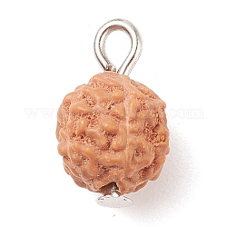 Undyed Natural Rudraksha Charms, with Iron Finding, Round, Saddle Brown, 12~13x8mm, Hole: 1.5~2mm