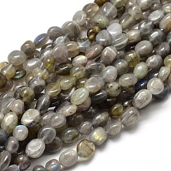 Pépites de labradorite naturelle perles brins, pierre roulée, 5~10x6~7x3~7mm, Trou: 1mm, environ 14.9 pouce ~ 15.7 pouces