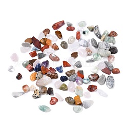 Pierres gemmes naturelles, pas de trous / non percés, puce, 8~19x8~10x2~8mm, environ 458 pcs/500 g