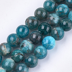 Chapelets de perles en apatite naturelle, grade AB, ronde, 10mm, Trou: 1mm, Environ 38~39 pcs/chapelet, 15.3 pouce