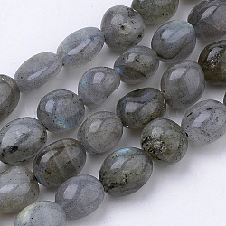 Chapelets de perles en labradorite naturelle , ovale, 6~12x5~8x3~8mm, Trou: 1mm, Environ 50~57 pcs/chapelet, 15.7 pouce