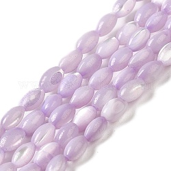 Brins de perles de coquillages naturels de troca, teinte, riz, Prune, 5x3~3.5mm, Trou: 0.7mm, Environ 81~82 pcs/chapelet, 15.39''~15.51'' (39.1~39.4 cm)