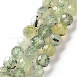 Natur Prehnit Perlen Stränge, Runde, facettiert, 8 mm, Bohrung: 1.2 mm, ca. 49~50 Stk. / Strang, 14.96 Zoll (38 cm)