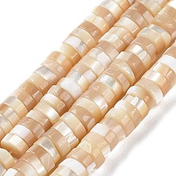 Natural Trochus Shell Beads Strands, Flat Round/Disc, Heishi Beads, Faceted, Navajo White, 5~6x2~2.5mm, Hole: 1mm, about 175pcs/strand, 15.67''(39.8cm)