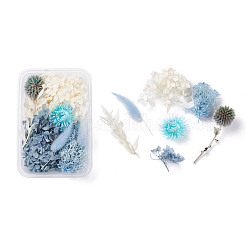Fleurs séchées, accessoires de fabrication de savon bougie bricolage, avec boîte rectangulaire en plastique, couleur mixte, 2.4~13x1.4~10.8 cm