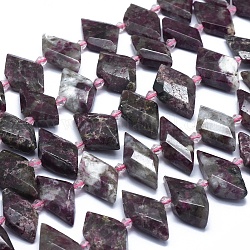 Natural Red Tourmaline Bead Strands, Faceted, Rhombus, 21~32x10~18x5~7mm, Hole: 0.6~0.8mm, about 20~25pcs/strand, 15 inch~15.7 inch(38~40cm)