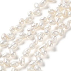 Fili di perle di perle d'acqua dolce coltivate naturali, grado 3 un, riso, colore conchiglia, 7~8.5x5~6mm, Foro: 0.7 mm, circa 68~74pcs/filo, 15.04'' (38.2 cm)