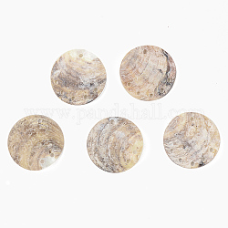 Enlaces de shell akoya natural, concha de madreperla, plano y redondo, camello, 25x2mm, agujero: 1.8 mm