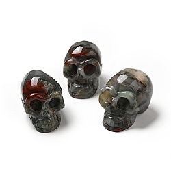 Decoraciones de exhibición de piedra de sangre africana natural de halloween, Decoraciones para el hogar, cráneo, 35~37x30~31x48~50.5mm