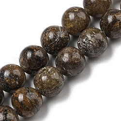 Brins de perles de jaspe feuille d'or naturel, ronde, 8mm, Trou: 0.8mm, Environ 49 pcs/chapelet, 15.51'' (39.4 cm)