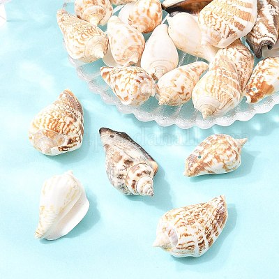 Perle di conchiglia naturali&nbsp;BSHE-O007-57-1