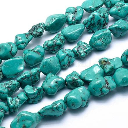 Natural Magnesite Beads Strands TURQ-G148-18B-1