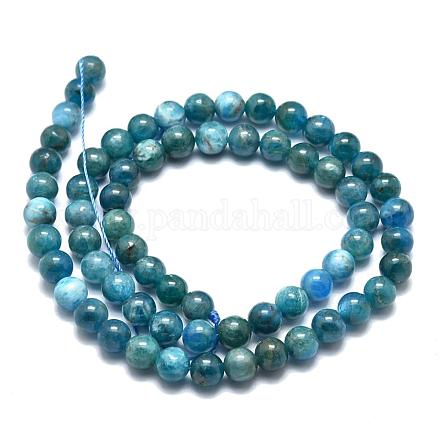 Natürliche Apatit Perlen Stränge G-O186-E02-6mm-1