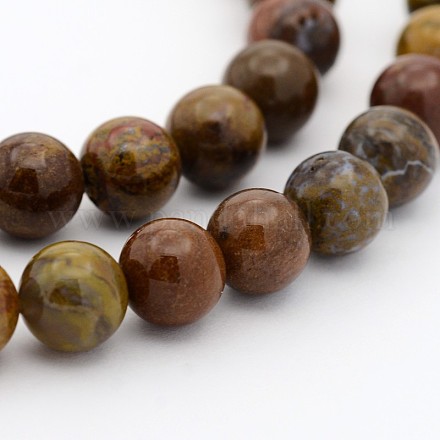 Natural Petrified Wood Round Bead Strands G-P070-64-3mm-1
