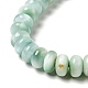 Natural Glass Beads Strands G-I247-36A-4