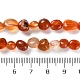 Natürlichen Karneol-Perlen Stränge&nbsp;X-G-P497-01C-35-5