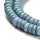 Chapelets de perles en turquoise naturelle G-M422-B01-01-4