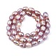 Natural Cultured Freshwater Pearl Beads Strands X-PEAR-N012-06A-4