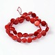 Natural Shell Beads Strands PBB-XXBK023Y-1-2