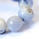 Chapelets de perle ronde en sodalite naturelle X-G-E334-10mm-08-4
