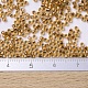 Perline miyuki delica piccole SEED-JP0008-DBS0181-4