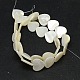 Natural White Shell Beads SSHEL-I008-11-2