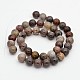 Natural Petrified Wood Round Beads Strands G-P101-01-6mm-2