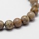 Natural Fossil Coral Beads Strands G-I131-21-12mm-3