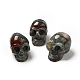 Decoraciones de exhibición de piedra de sangre africana natural de halloween DJEW-K015-30-1