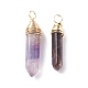 Natural Amethyst Double Terminated Pointed Pendants PALLOY-JF01211-01-1
