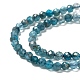 Natural Apatite Beads Strands G-K185-02-1