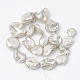 Shell Pearl Beads Strands X-BSHE-Q031-15G-2