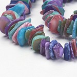 Cuentas de concha naturales hebras, patatas fritas, teñido, color mezclado, aproximamente 6~15 mm, 1~5 mm de espesor, agujero: 1 mm, aproximamente 190 pcs / cadena, 15 pulgada