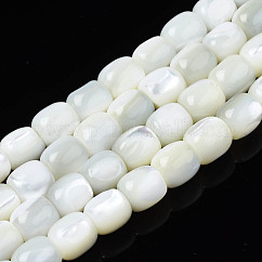 Hebras de cuentas de concha trochid natural/trochus, barril, blanco, 8x7.5mm, agujero: 1 mm, aproximamente 50 pcs / cadena, 15.75 pulgada (40 cm)