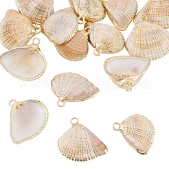 Colgantes de concha natural 15pcs&nbsp;BSHE-TA0001-26