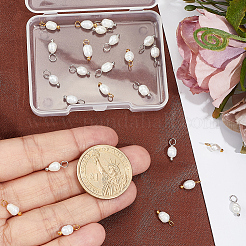 40 Stück 2 Farben natürliche Süßwasserperle Kartoffel Charms&nbsp;PALLOY-BM00012