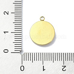 Ionenplattierung (IP) 304 Edelstahlanhänger&nbsp;STAS-B058-19G-02