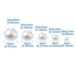 ABS Kunststoffimitation Perle Cabochons&nbsp;SACR-TA0001-04