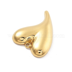 Pendentifs en acier inoxydable 304&nbsp;STAS-R155-054E-G