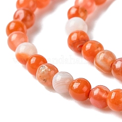 Agate naturelle rouge sud agate brins&nbsp;G-B090-A04-01