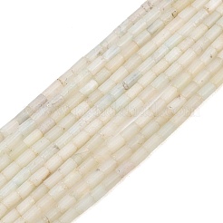Fili di perline di amazzonite di fiori naturali&nbsp;GG-CBAED3F-A02