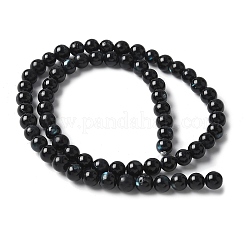 Naturali labbro nero perline shell fili&nbsp;SSHEL-C013-01A