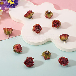 10 Stück konservierte Rosenanhänger&nbsp;KY-TA0001-59C
