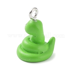 Pendentifs en résine opaque&nbsp;X-RESI-Z014-01G